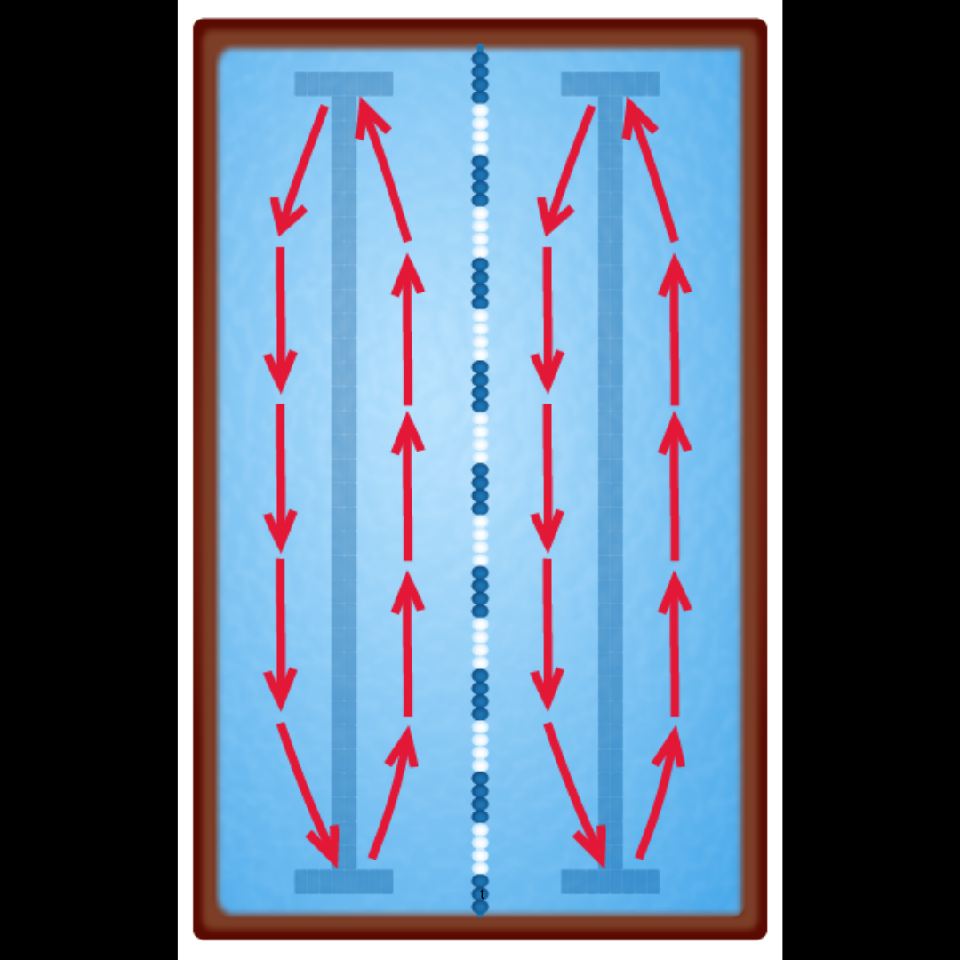 Diagram with red arrows and blue dots on a light blue background depicting proper circle swimming technique.
